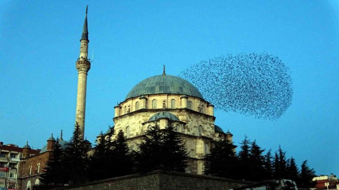 Sığırcık Sürüsü Ezan Sesi İle Mest Etti