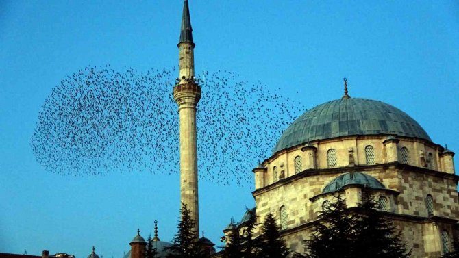 Sığırcık Sürüsü Ezan Sesi İle Mest Etti