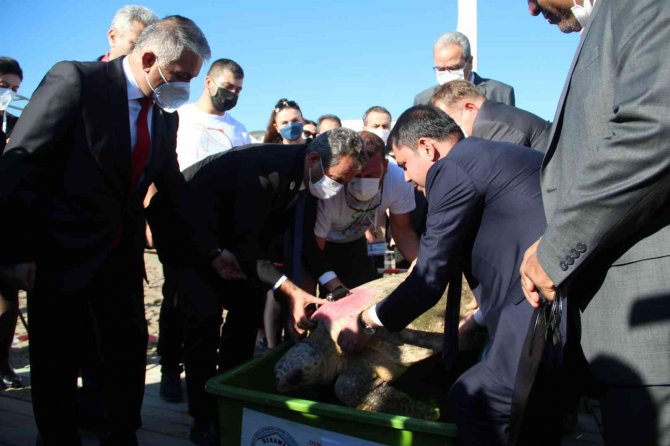 Bakan Kurum Ve Özer Tedavisi Tamamlanan 2 Caretta Carettayı Denize Bıraktı