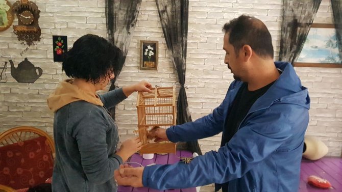 Ender Görülen ‘Mekik Kelebeği’ Alanya’da Koruma Altına Alındı