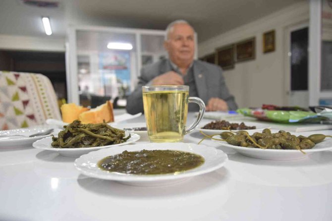 Herkesin Zehirli Bildiği Kapari Karpuzunu Dünyaya İhraç Ediyor