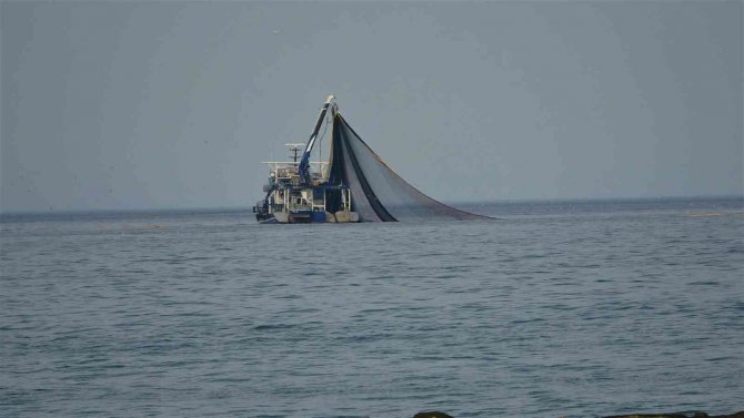 Ordu’da Tezgahlar Hamsisiz Kaldı: Kasası 500 Liraya Ulaştı