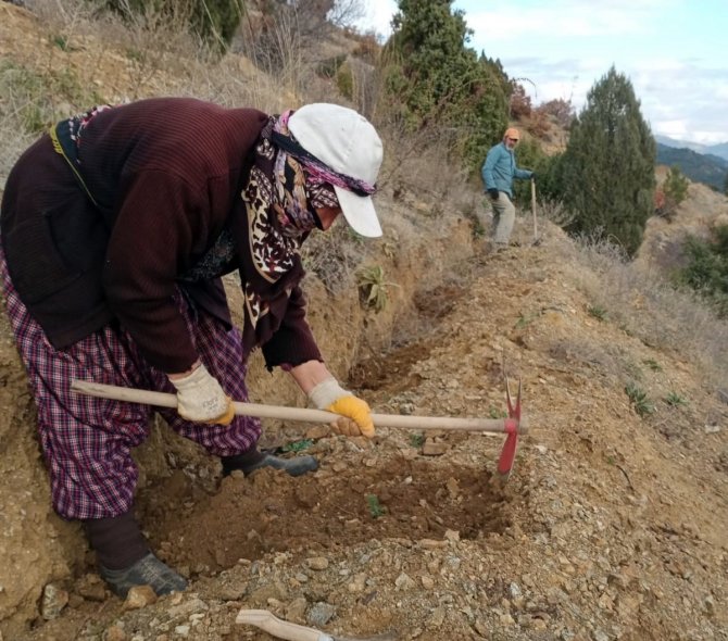 Bu Fidanlar Erozyona ‘Dur’ Diyecek
