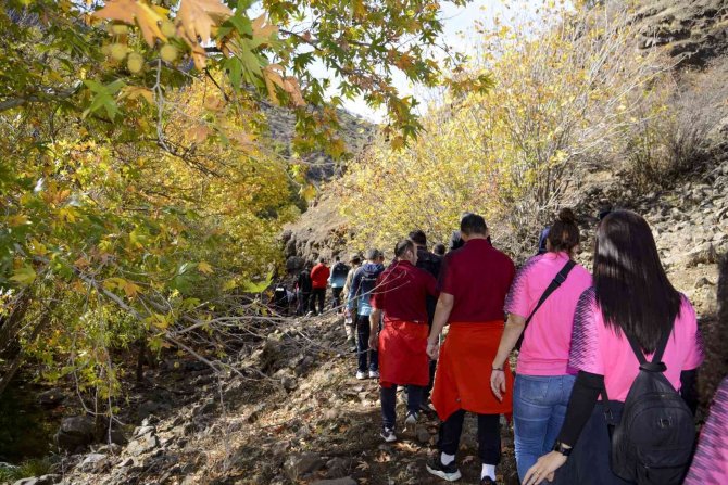 Diyarbakır’da Yabanardı Ve Şeyhandede Şelaleleri Tabiat Parkı İlan Edildi