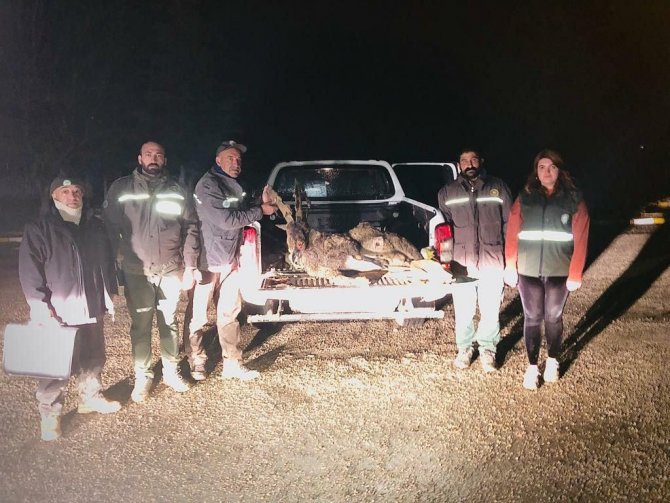 Tunceli’de Yaban Keçisi Avlayan 2 Kişiye 126 Bin Lira Ceza