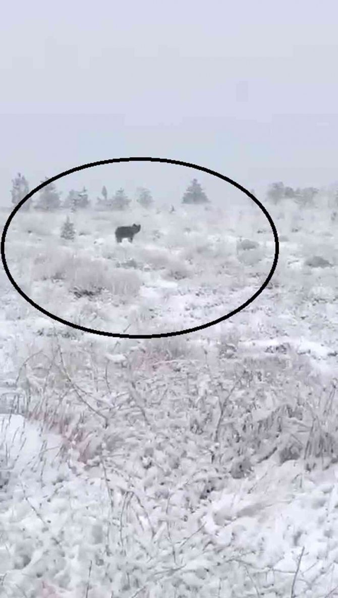 Bayburt’un Yüksek Kesimlerinde Kar Yağışı Etkili Oldu