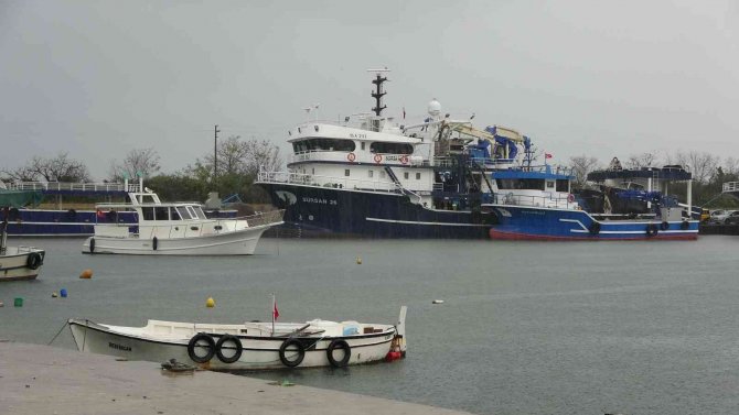 Ordu’da Tezgahlar Hamsisiz Kaldı: Kasası 500 Liraya Ulaştı