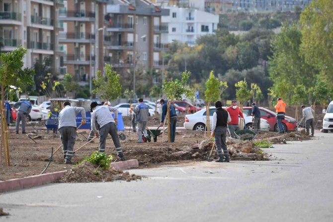 Konyaaltı’nda Kişi Başına Düşen Yeşil Alan Miktarı 11.4 Metrekare