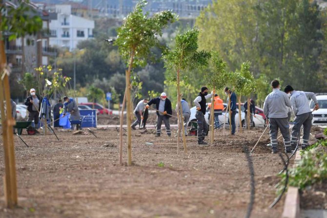 Konyaaltı’nda Kişi Başına Düşen Yeşil Alan Miktarı 11.4 Metrekare