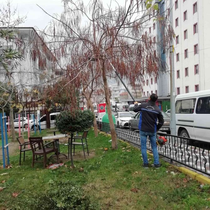 Soma’da Park Ve Bahçelerin Kışlık Bakımları Devam Ediyor