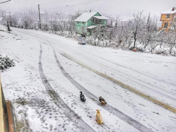 Toroslar Beyaza Büründü