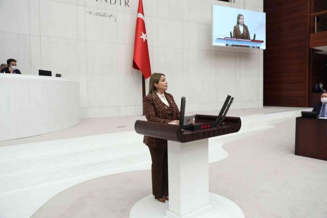 Milletvekili Aydemir: "Kadın Sporcularımız Tokyo Olimpiyatlarında Tarih Yazdılar"
