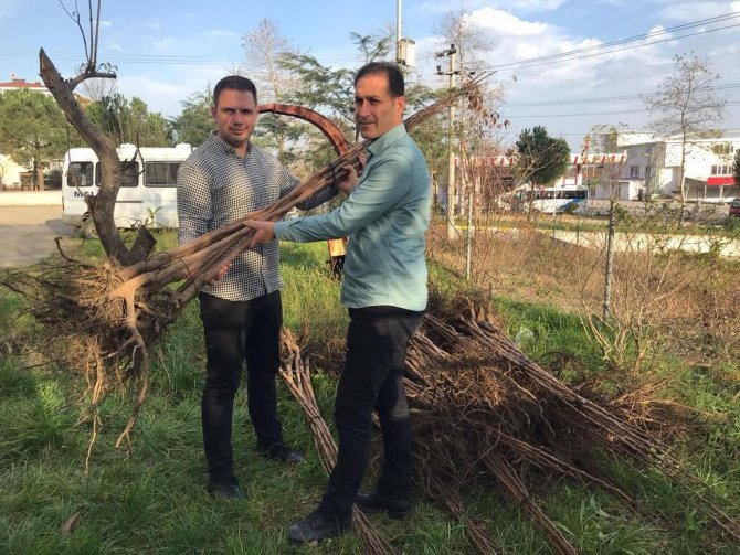 Üreticilere Cennet Meyvesi Desteği