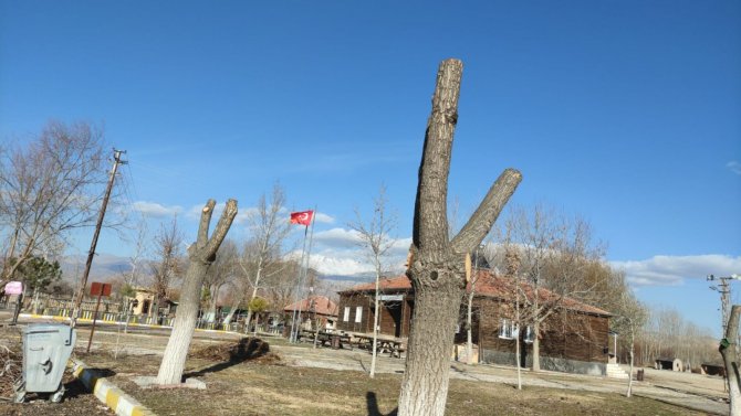 Sultan Sazlığı’nda Sonbahar Temizliği
