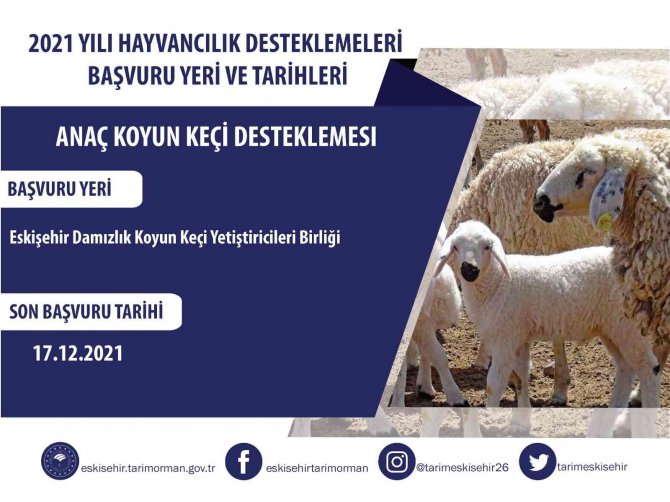 Hayvancılara Destek Ödemeleri Yapılacak