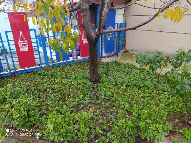 Beyoğlu Çiçeklerle Donatılıyor