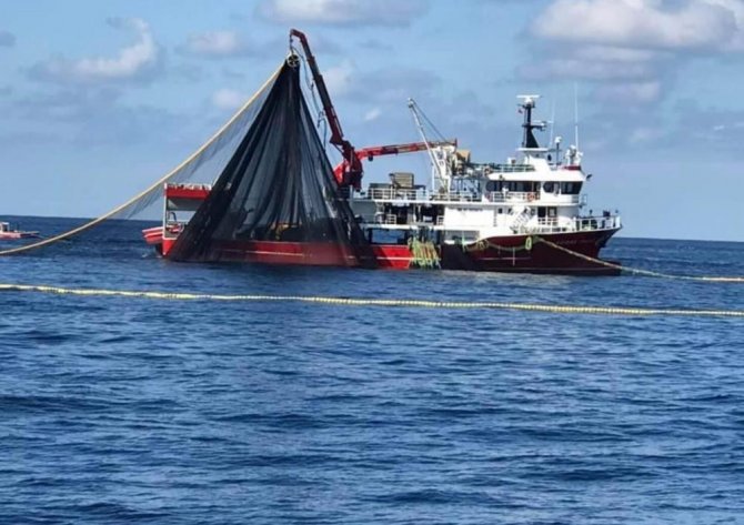 Balıkçılar Hamsi İçin Gürcistan Ve Abhazya’ya Yolcusu