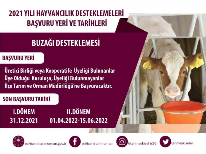 Hayvancılara Destek Ödemeleri Yapılacak