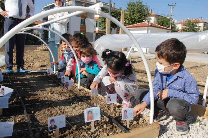 Bu Okulda Çocuklara Hayvan Ve Doğa Sevgisi Aşılanıyor