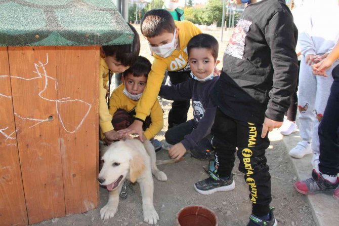 Bu Okulda Çocuklara Hayvan Ve Doğa Sevgisi Aşılanıyor