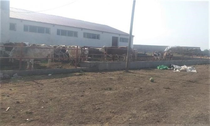 Dap Kapsamında Yapılan Ahır Ve Ağıl Projeleri Kontrol Edildi