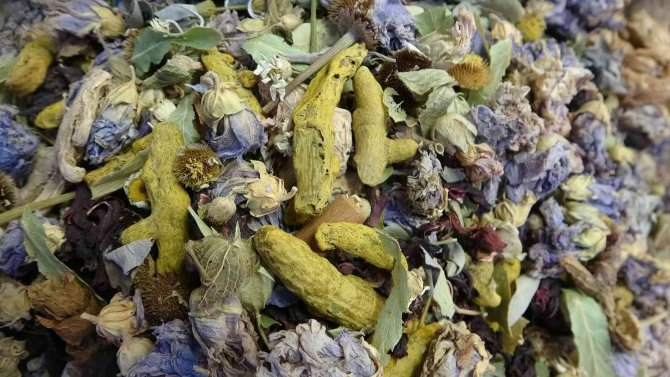 Havalar Soğudu "Kış Çayı"na Talep Arttı