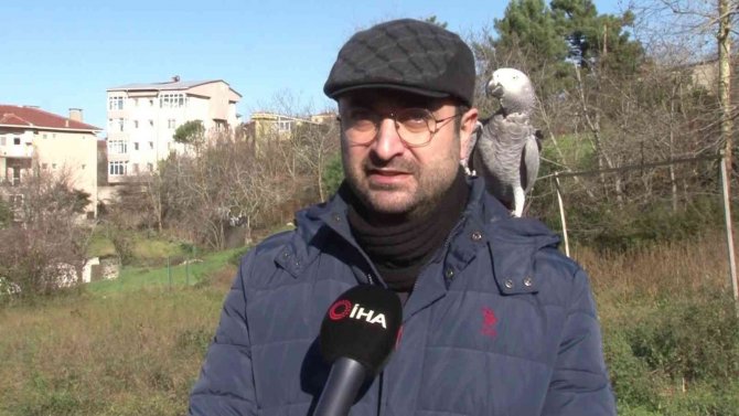 İ̇stanbul’un Göbeği Beykoz’da, Gezen Tavuk Çiftliği