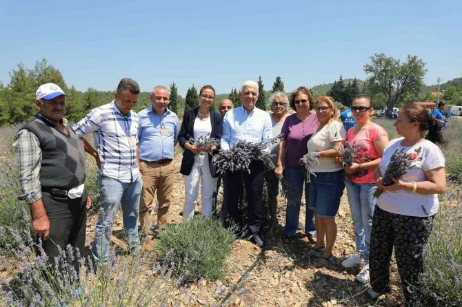 Kadın Üreticilere 97 Bin 500 Adet Tıbbi Aromatik Fidanı