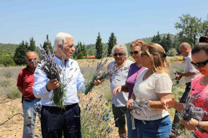 Kadın Üreticilere 97 Bin 500 Adet Tıbbi Aromatik Fidanı