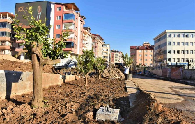 Altınordu’da Z Kuşağı Vadisi Projesi Yükseliyor