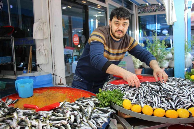 Aydın’da Balık Tezgahlarının Yıldızı ’Hamsi’ Oldu