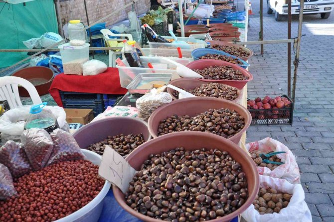 Ünlü Simav Kestanesine Yoğun İlgi