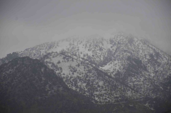 Şırnak’ta Kar Nedeniyle Tanin Geçidi Ulaşıma Kapandı