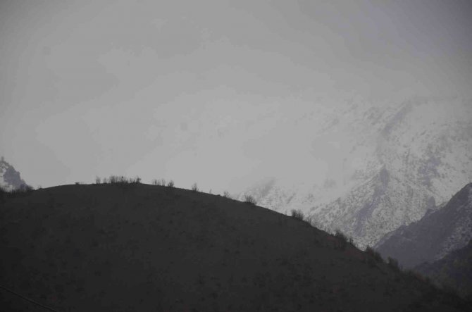 Şırnak’ta Kar Nedeniyle Tanin Geçidi Ulaşıma Kapandı