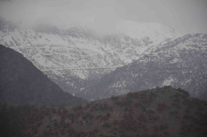Şırnak’ta Kar Nedeniyle Tanin Geçidi Ulaşıma Kapandı