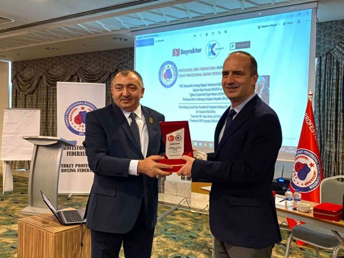 Türk Boksörler Artık Ülkesi İçin Dövüşebilecek