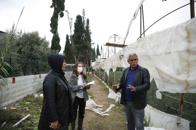 Büyükşehir Çiftçinin Yaralarını Sarmak İçin Hasar Tespiti Yapıyor