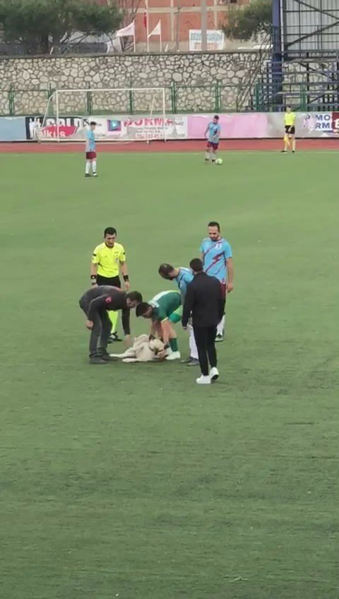 Bursa’da Nefes Kesen Mücadeleye ‘Köpek’ Molası