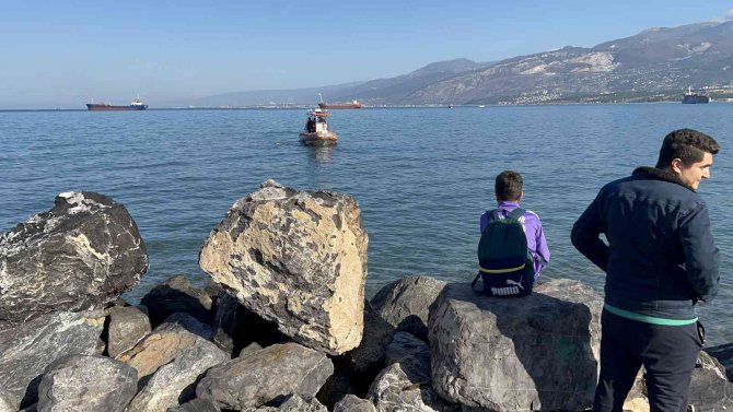 Devasa Caretta Caretta Biranda Yüzeye Çıktı, Öldüğü Belirlendi