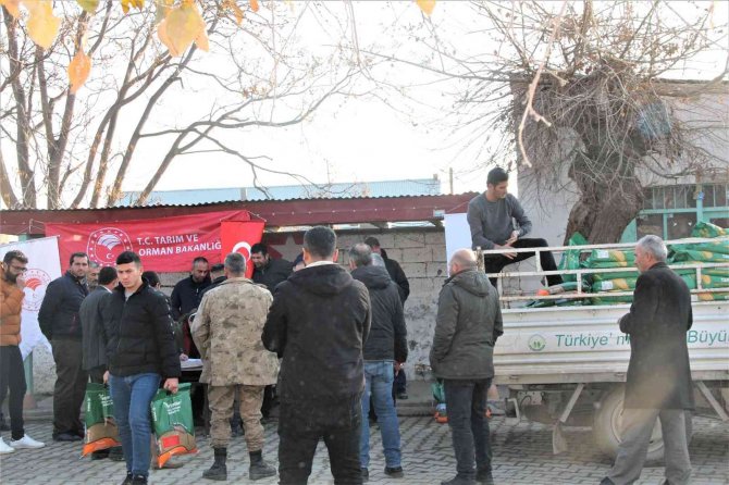 Iğdır’da Mera Islahından Dolayı Çiftçilere Yem Tohumu Desteği