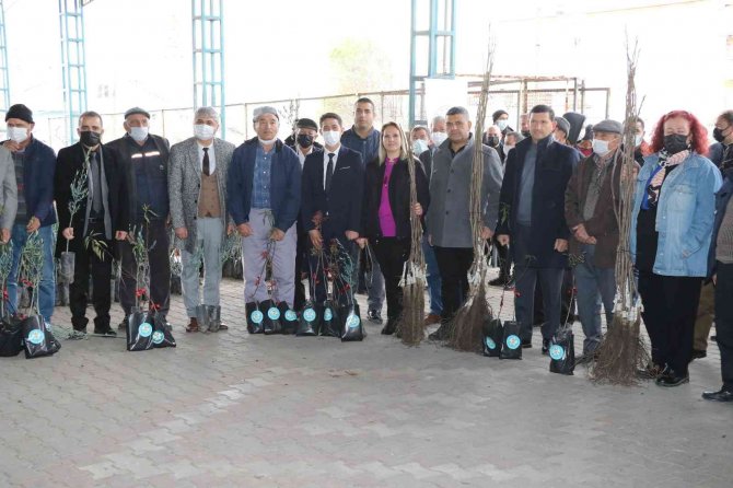 Büyükşehirden, Demirci’de Meyve Üretimine Destek