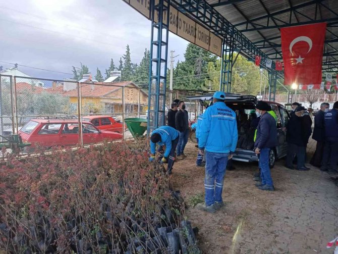 Büyükşehirden, Demirci’de Meyve Üretimine Destek