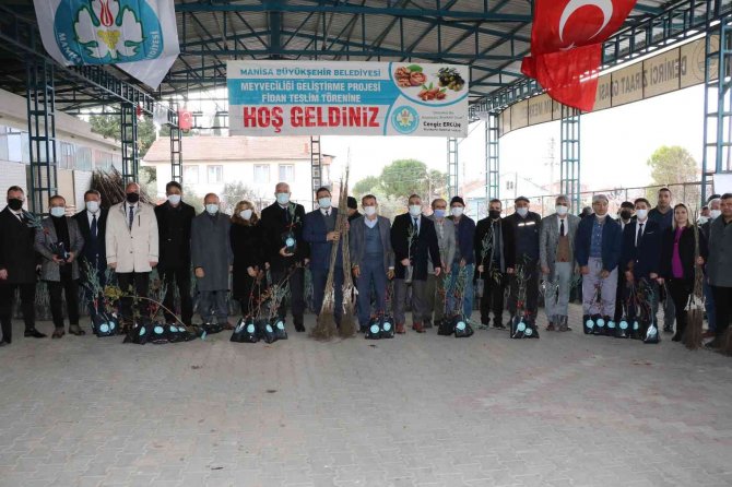 Büyükşehirden, Demirci’de Meyve Üretimine Destek