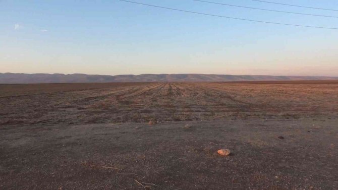 Mardin’de Ağır Petrol Keşfedildi
