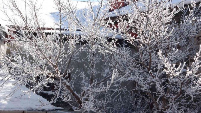 Ardahan Sıfırın Altında Eksi 20.4 Dereceyi Gördü