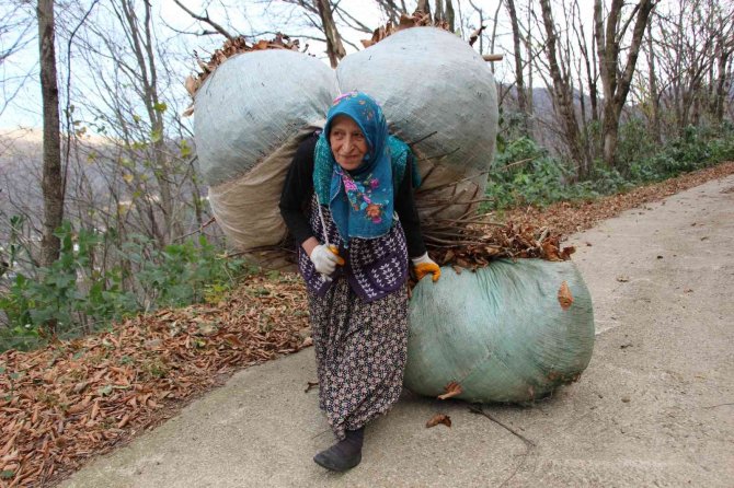 Karadeniz Kadınının Kuru Yaprak Mesaisi
