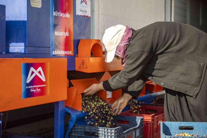 Mersin’de Zeytin Üreticilerine Ekipman Desteği