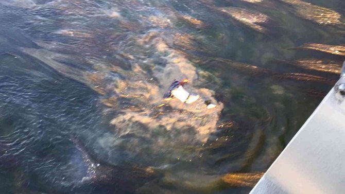 Köprüden Nehre Atlayan Şahıs Ölümden Döndü: Dehşet Anları Kamerada