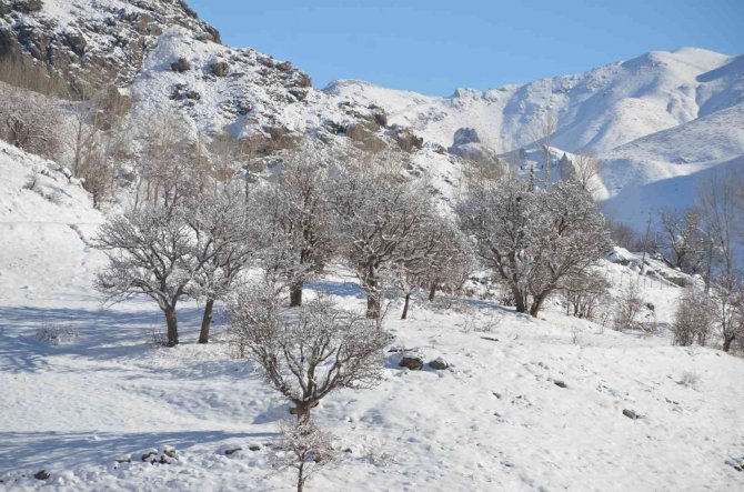 Şırnak’ta Termometreler Eksi 21 Dereceyi Gösterdi, Dereler Dondu