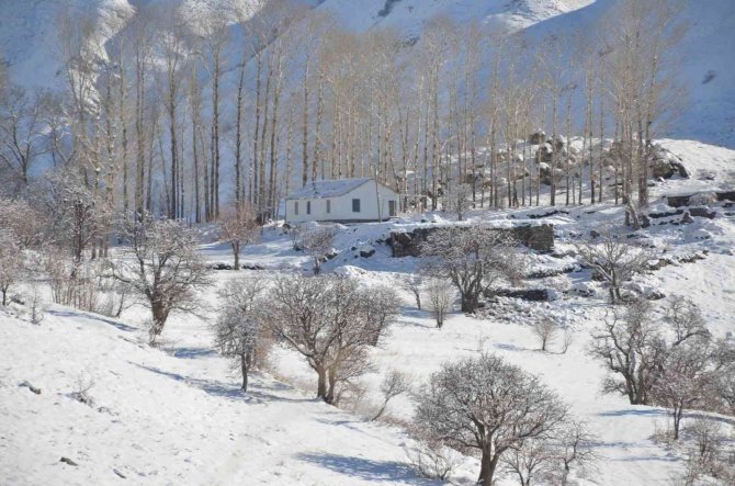 Şırnak’ta Termometreler Eksi 21 Dereceyi Gösterdi, Dereler Dondu